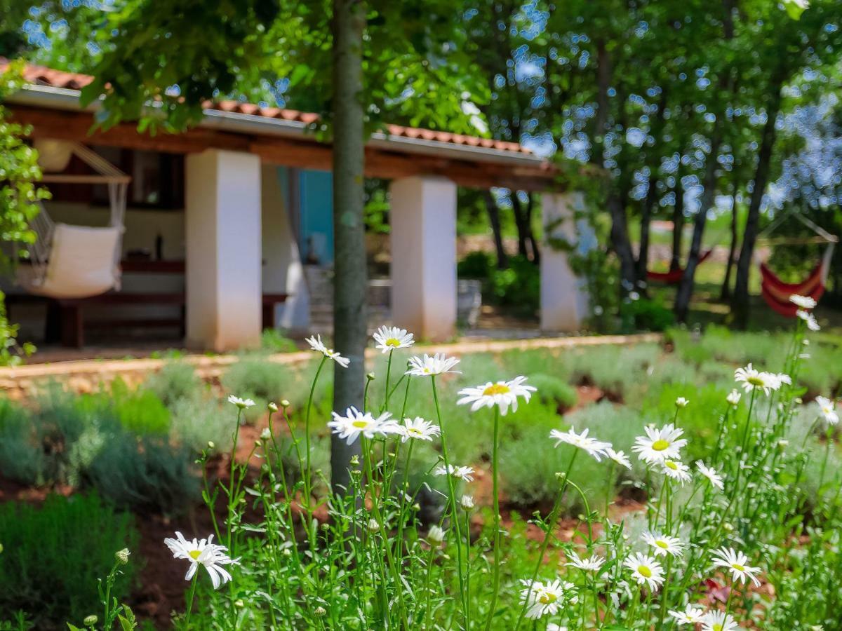 Holiday Home Country House D&D By Interhome Pula Extérieur photo